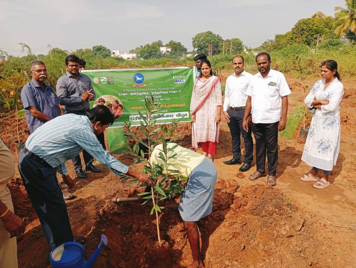 அய்யனடைப்பில் பசுமை விழா: 56 மரக்கன்றுகள் நடவு!!
