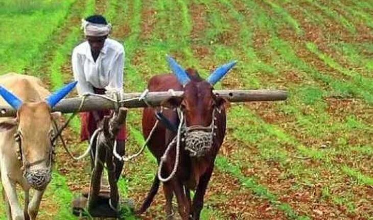 கடன் கிடைக்காததால் விவசாயப் பணிகள் பாதிப்பு – தூத்துக்குடி விவசாயிகள் அவதி!!